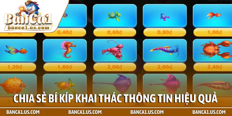 Chia sẻ bí kíp khai thác thông tin hiệu quả