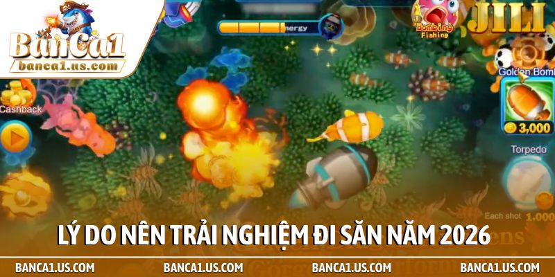 Lý do nên trải nghiệm đi săn năm 2026