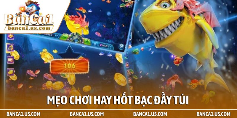 Jackpot đánh cá - Tuyệt kỹ săn hũ và cách nổ hũ nghìn tỷ 2 Mẹo chơi hay hốt bạc đầy túi